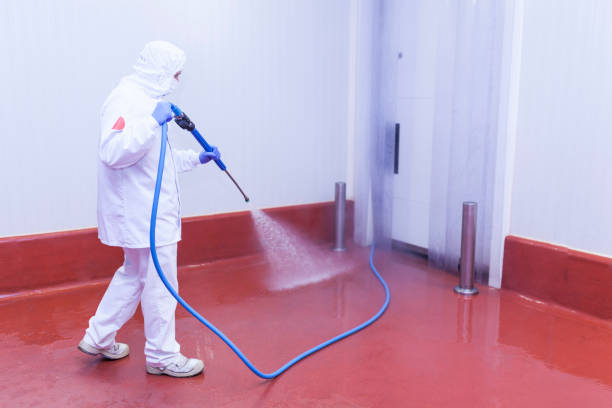 Trusted Caraway, AR Pressure Washing Services Experts